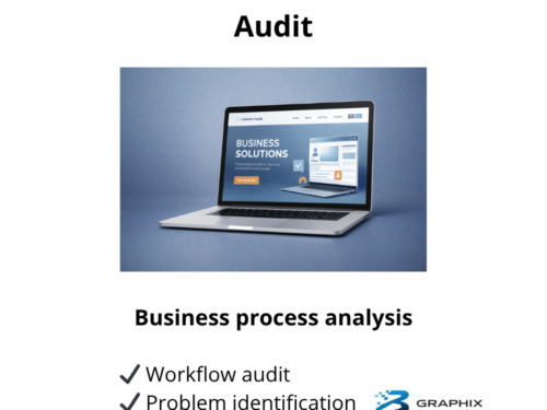 business optimization audit