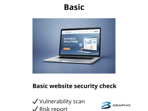 security audit basic