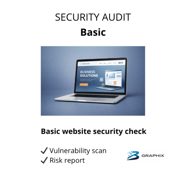 security audit basic
