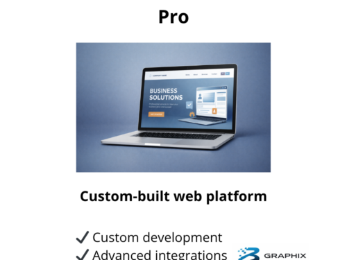 websire development pro