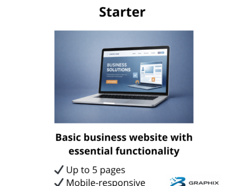 website development starter